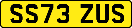 SS73ZUS