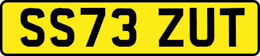 SS73ZUT