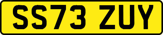 SS73ZUY