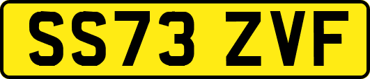 SS73ZVF