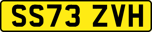 SS73ZVH