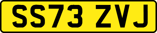 SS73ZVJ