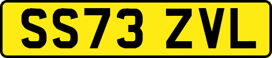 SS73ZVL