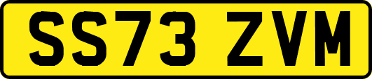 SS73ZVM