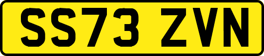 SS73ZVN