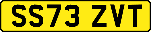 SS73ZVT