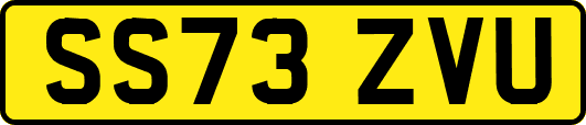 SS73ZVU