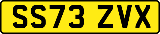 SS73ZVX