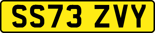 SS73ZVY