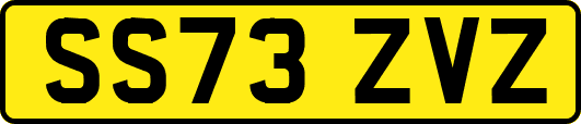 SS73ZVZ