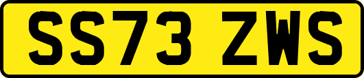 SS73ZWS
