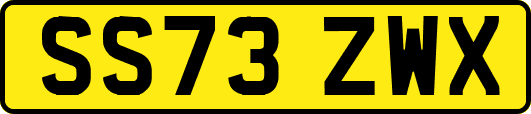 SS73ZWX