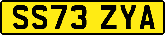 SS73ZYA