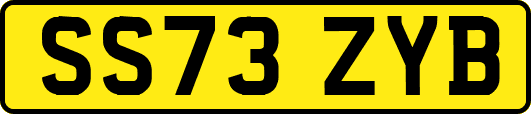 SS73ZYB
