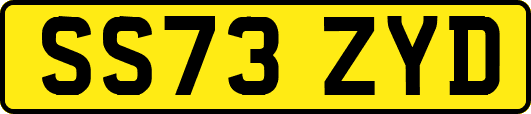 SS73ZYD