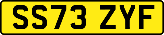 SS73ZYF