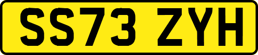 SS73ZYH