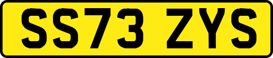 SS73ZYS