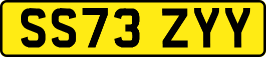 SS73ZYY