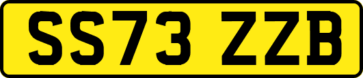 SS73ZZB
