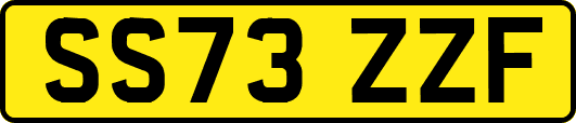 SS73ZZF