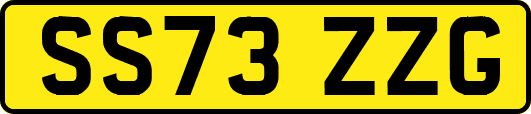 SS73ZZG