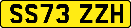 SS73ZZH