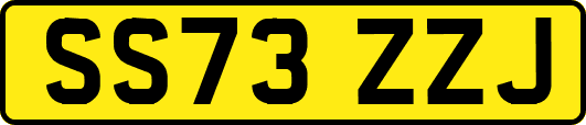 SS73ZZJ
