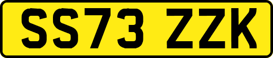 SS73ZZK