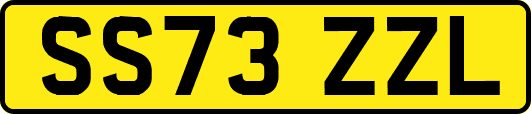 SS73ZZL