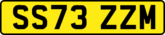 SS73ZZM