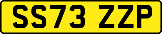 SS73ZZP
