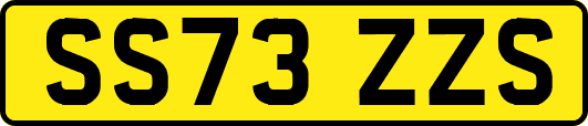 SS73ZZS