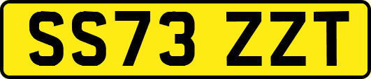 SS73ZZT
