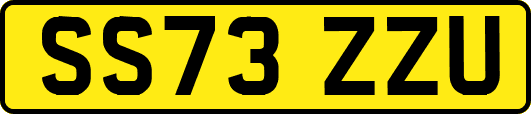 SS73ZZU