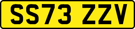 SS73ZZV