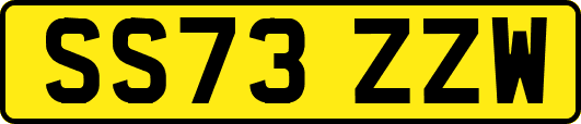 SS73ZZW