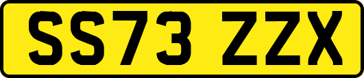 SS73ZZX
