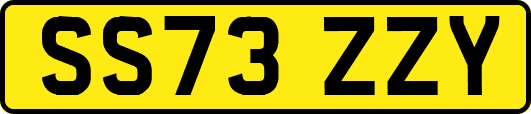 SS73ZZY