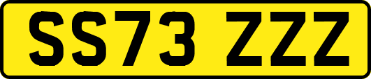 SS73ZZZ