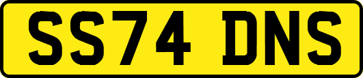 SS74DNS