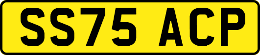 SS75ACP