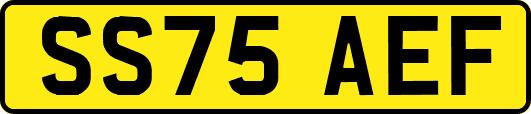 SS75AEF