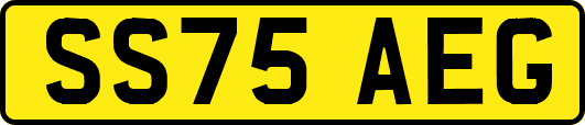 SS75AEG