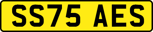 SS75AES