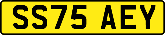SS75AEY