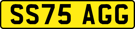 SS75AGG