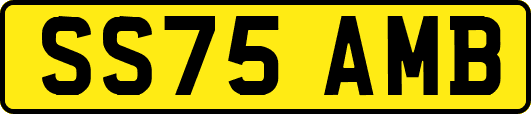 SS75AMB