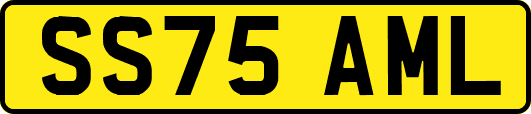 SS75AML