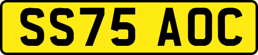 SS75AOC